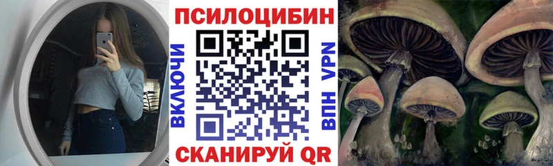 Галлюциногенные грибы прущие грибы  Купить закладки  Бабаево 